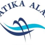 شركة الوثيقة الأصلية لإستراد وسائل النقل